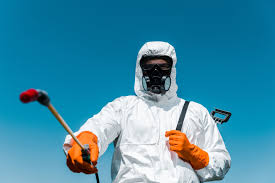 Best Outdoor Pest Control  in St Marys, GA